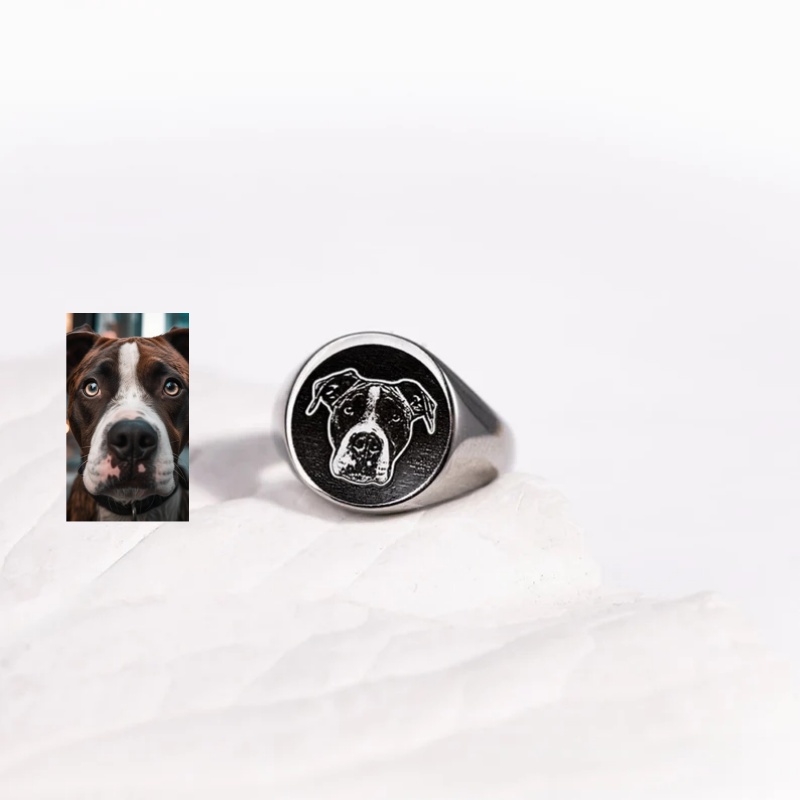 Custom Engrave Photo Signet Ri - Mens Signet Ring recension och pris