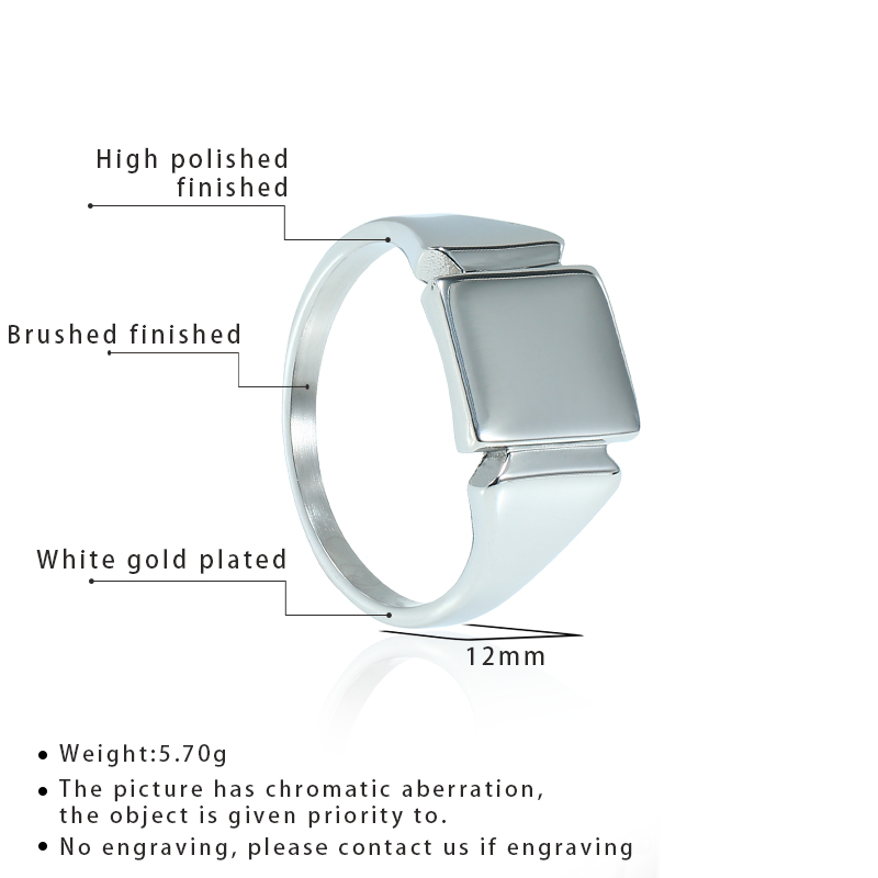 Soul Men Titanium Steel Rings  - Mens Signet Ring recension och pris