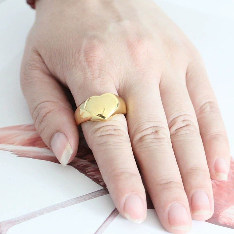 365 Stainless Steel Punk Rock  - Mens Signet Ring recension och pris